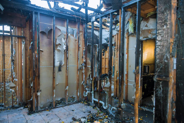 Professional Fire Damage Removal technician working in Cherokee Village, AR
